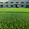 20mm人工仿真假草坪汉中露台人造草坪围挡塑料绿草皮