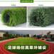 汤旺河区哪里有卖人造草坪地毯绿色人工草皮塑料仿真假草坪