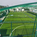 足球场运动场人工仿真草坪茂南屋顶人造草坪围挡外墙塑料草皮