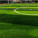 操场足球场仿真人工假草坪梁子湖天台人造草坪围挡绿化塑料草皮