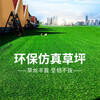 仿真人造草坪地毯雙湖塑料人工綠草皮廣告裝飾圍擋草皮