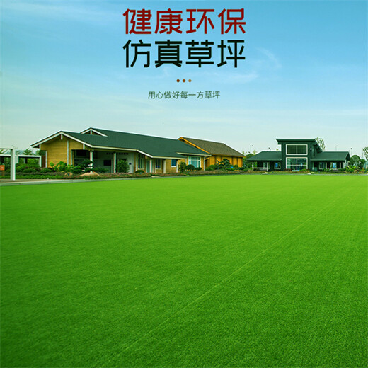 仿真人造草坪地毯广安区塑料人工草皮墙体绿化围挡草皮