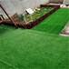 人造仿真草坪略阳塑料绿色人工草皮铁皮装饰围挡草坪地毯