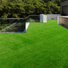 人造仿真草坪辉市塑料绿色人工草皮建筑围墙围挡假草坪
