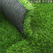 仿真人造草坪地毯云浮塑料人工草皮外墙绿化围挡仿草坪
