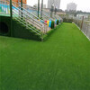 足球场运动场人工仿真草坪甘南屋顶人造草坪围挡墙面塑料草皮