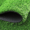 人造仿真草坪隨州塑料人工草皮外墻綠化圍擋草坪地毯