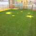 仿真人造草坪地毯东湖塑料人工绿草皮市政绿化围挡塑料草坪