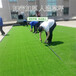 人造仿真草坪疏勒塑料人工草皮工地围墙广告草皮
