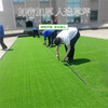 人造仿真草坪耀州區塑料人工草皮彩鋼板圍擋仿草坪
