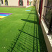 仿真人造草坪地毯南澳塑料人工草皮工地围墙围挡挂草皮