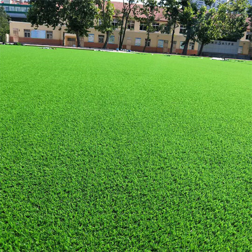 仿真人造草坪地毯荔城区塑料人工绿草皮市政绿化围挡草坪地毯