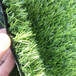 仿真人造草坪地毯 同心塑料人工草皮 楼盘装饰广告草皮