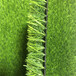 仿真人造草坪地毯白塔区塑料人工草皮广告标语围挡绿化草坪