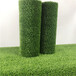 人造仿真假草坪双辽塑料人工绿草皮广告装饰围挡阻燃草坪