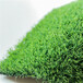 仿真人造草坪地毯通川区塑料人工绿草皮市政绿化围挡仿草坪