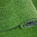 人造仿真假草坪平坝区塑料人工绿草皮外墙装饰围挡挂草皮