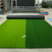 人造仿真假草坪德钦塑料人工绿草皮围墙绿化围挡草坪地毯