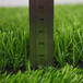 仿真人造草坪地毯萊西塑料人工草皮工地圍墻圍擋綠草皮