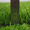 仿真人造草坪地毯泌陽塑料人工綠草皮建筑遮蓋綠植背景墻