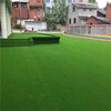 仿真人造草坪地毯运河区塑料人工草皮房地产围挡施工绿草坪