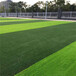 人造仿真草坪渑池塑料绿色人工草皮围墙装饰围挡人工草皮