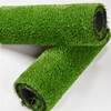 人造仿真假草坪拉薩塑料綠色人工草皮城市道路綠植背景墻