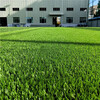 人造仿真假草坪渦陽塑料綠色人工草皮鐵皮裝飾圍擋草坪布