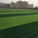 仿真人造草坪地毯锡林郭勒盟塑料人工草皮墙体绿化围挡绿草皮
