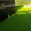人造仿真假草坪尖扎塑料人工绿草皮工地施工围挡板绿草坪