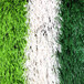 仿真人造草坪地毯郾城区塑料人工草皮道路临时围挡板绿草坪