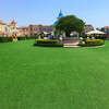 漯河哪里有賣綠化人造草坪綠色人工草皮塑料仿真假草坪