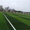 仁壽哪里有批發人造草坪地毯綠色人工草皮塑料仿真假草坪