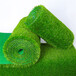 徐州什么地方有卖人造草坪地毯人工绿草皮塑料仿真草坪