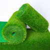 人造仿真草坪工业园区塑料绿色人工草皮墙面装饰围挡板绿草坪