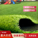 仿真人造草坪地毯渤海新区塑料人工绿草皮外墙装饰围挡草皮墙