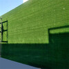 翠绿色1.0厘米广告标语围挡仿草坪达县围墙广告牌假草坪
