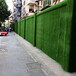 军绿色20针铁皮装饰围挡施工绿草坪防城港外围墙人造绿草坪