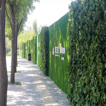 3米寬高圍墻綠化圍擋施工綠草坪辛集用草坪包外墻