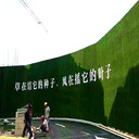 18900針道路臨時(shí)圍擋綠化草坪石河子樓盤圍墻廣告仿真草坪