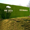 翠绿色1.5厘米广告标语围挡施工绿草坪丹凤背景墙草坪