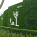 翠绿色10mm彩钢板围挡假草坪姚安室外墙体草坪