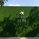 春草色25mm广告牌围挡施工绿草坪喀左墙壁假草坪