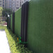 翠绿色1.5厘米铁皮装饰围挡草坪地毯连云港假草坪外墙