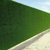 翠綠色1.5厘米墻面裝飾圍擋阻燃草坪衛東區圍墻人造草坪