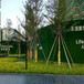 军绿色25针建筑工程围挡塑料草坪两当墙面草坪