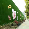 軍綠色30針圍墻裝飾圍擋草皮墻徽州區墻壁人工草坪