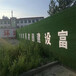 深三色2.0cm彩钢板绿植围挡博白建筑围墙人工绿草坪