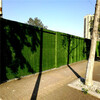 3米寬高廣告裝飾圍擋板綠草坪閩侯施工圍墻草皮