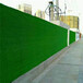 春草色2.5cm市政绿化围挡塑料草坪延长背景墙人工草坪